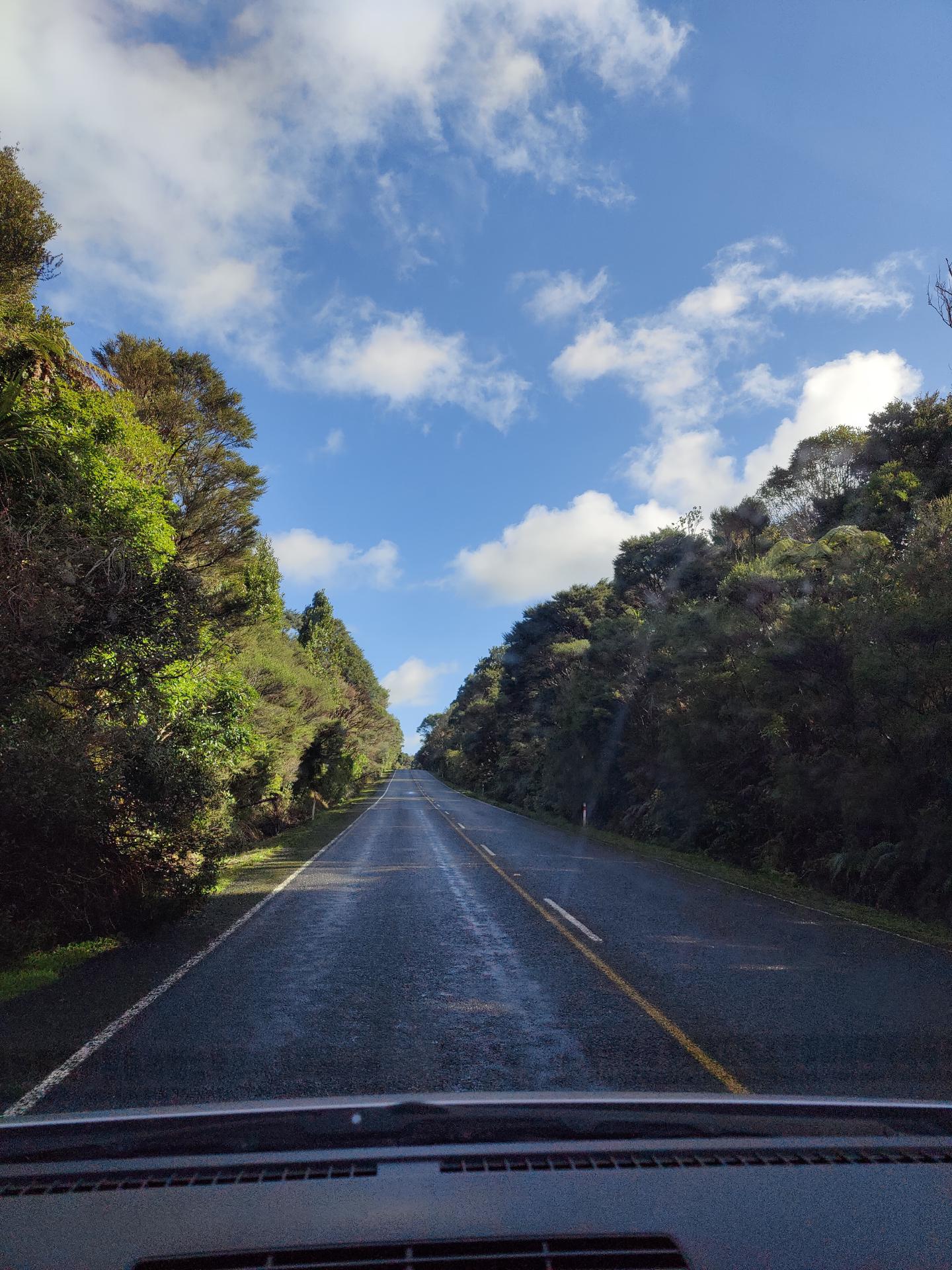 Piha Road