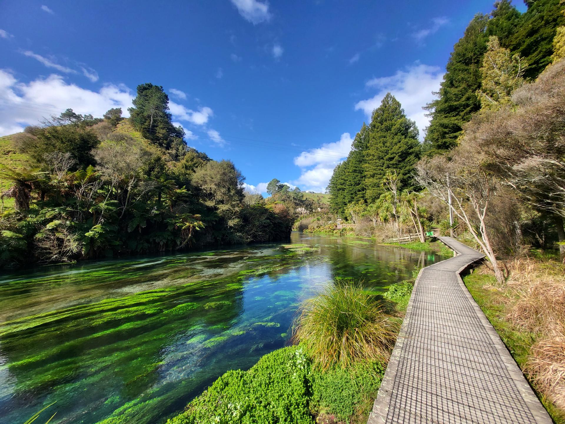 Putāruru Blue Springs