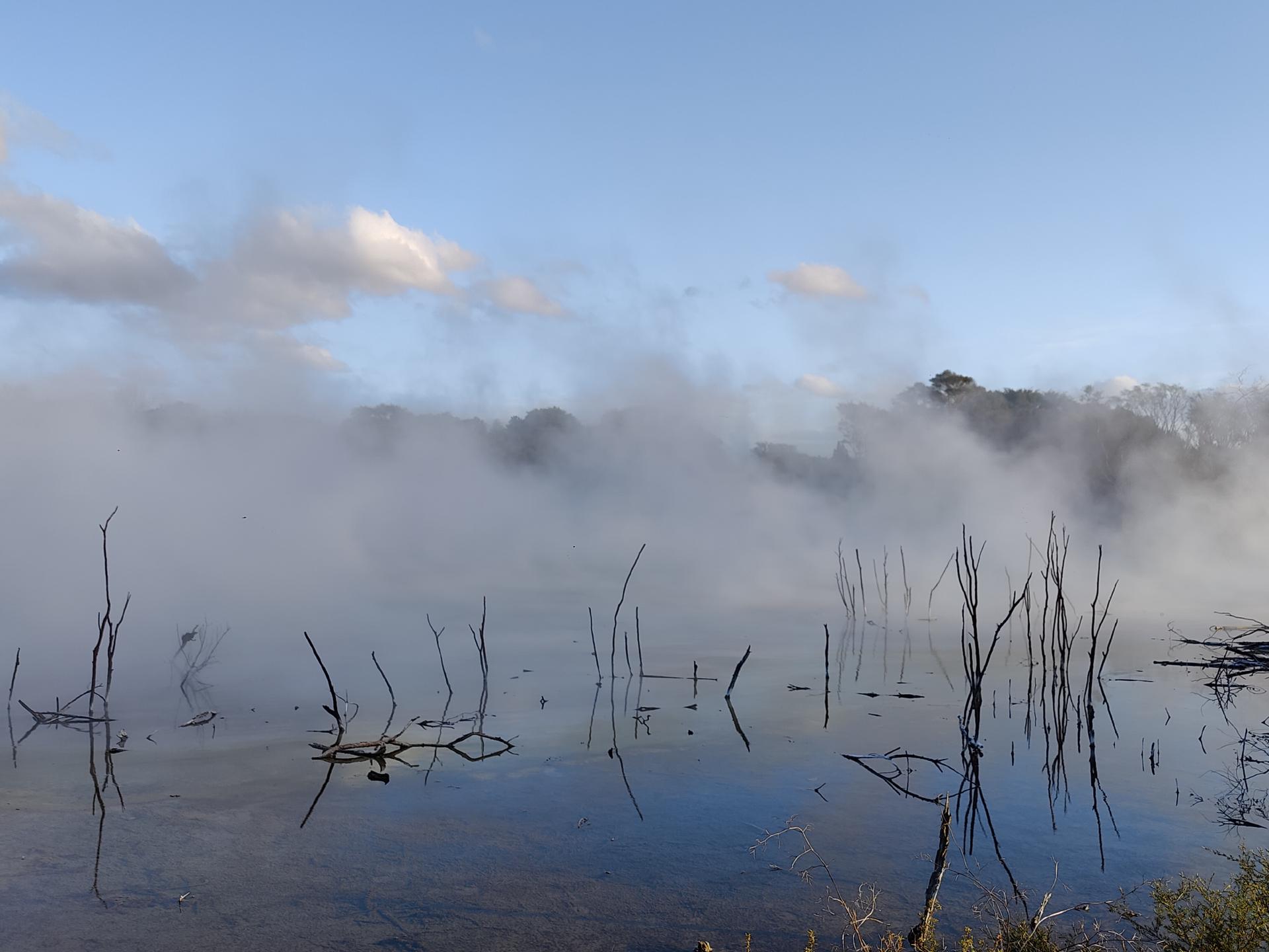 Lake Kuirau Steam