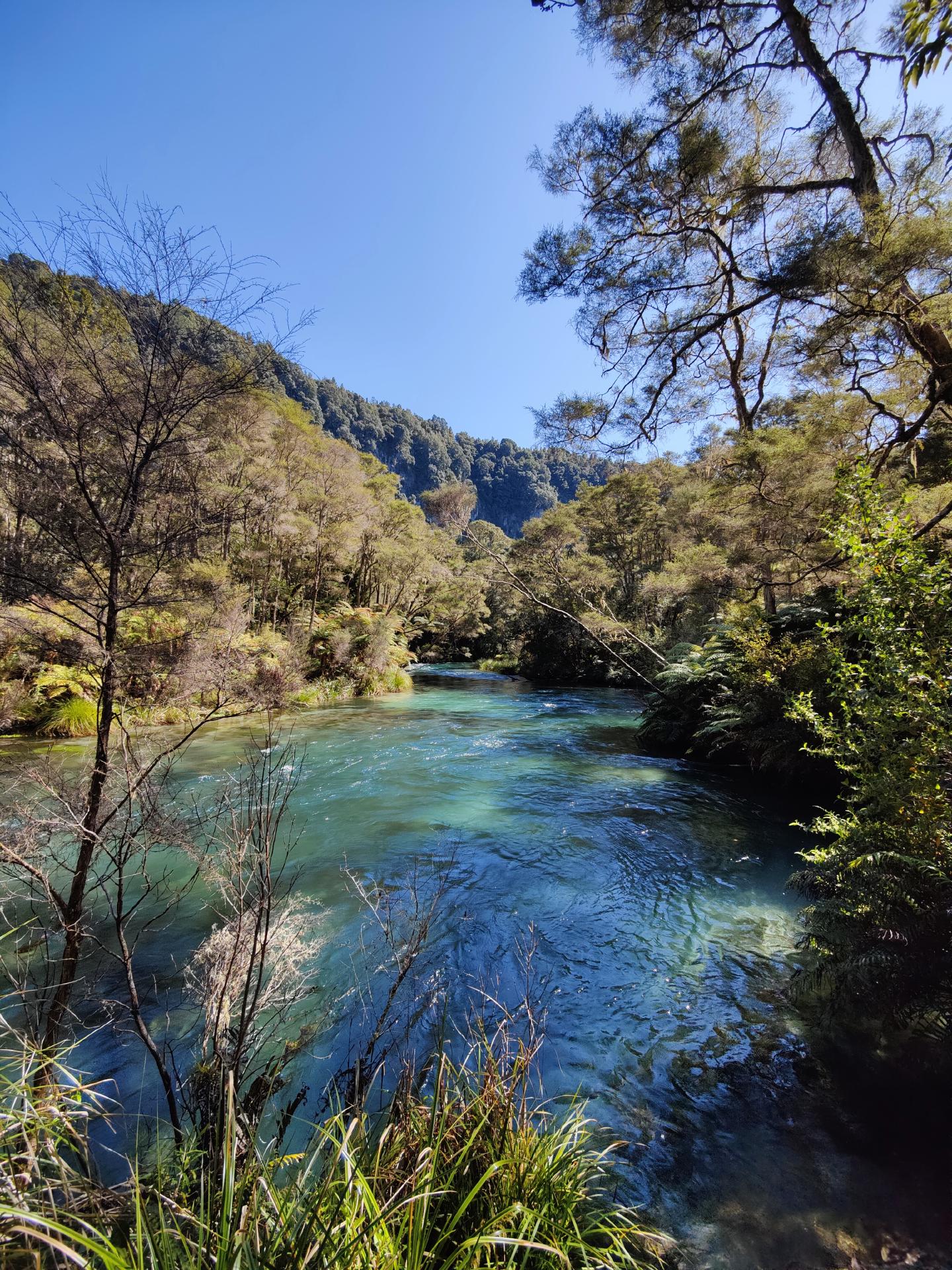 Tarawera River