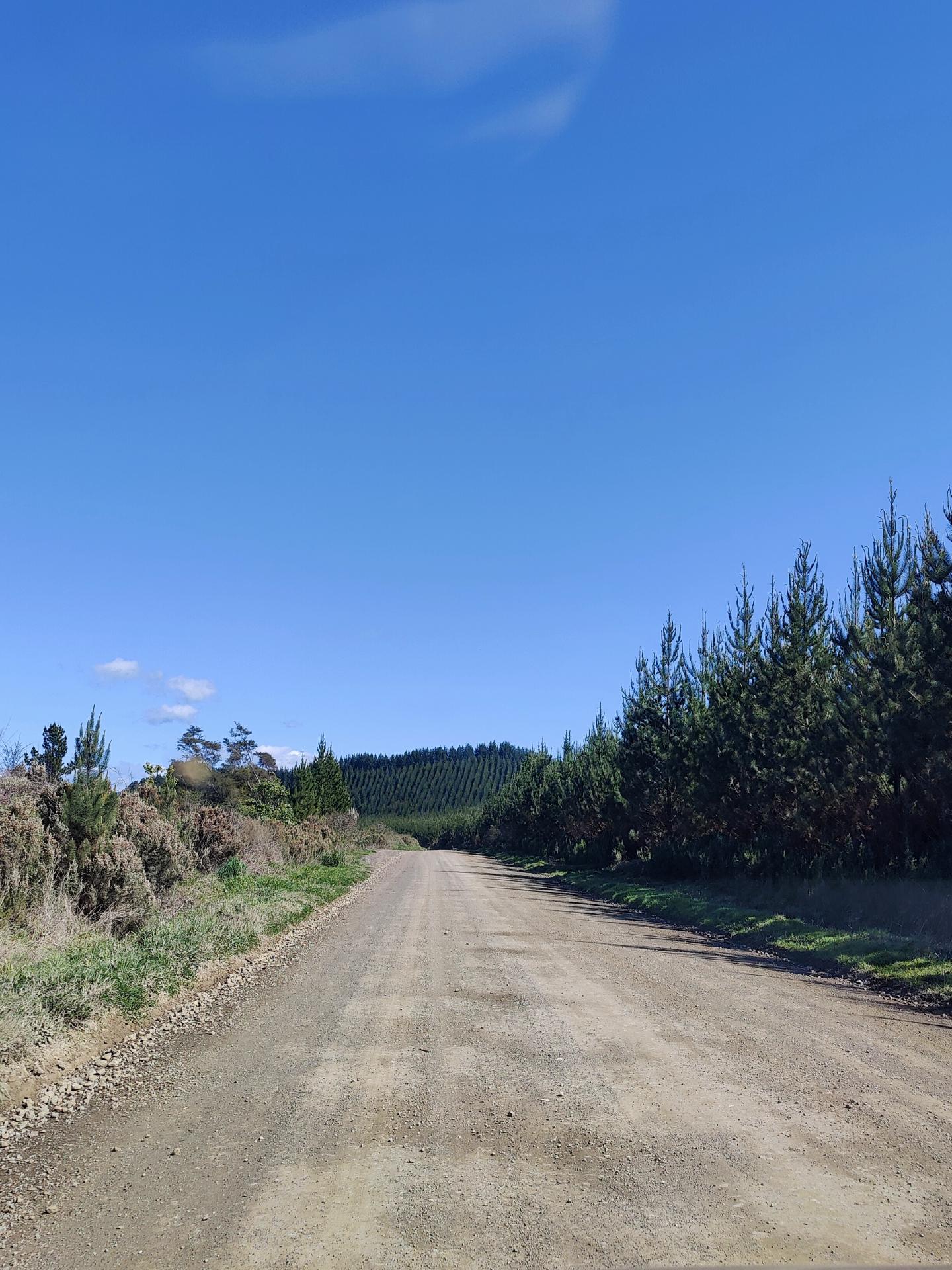Tarawera Road