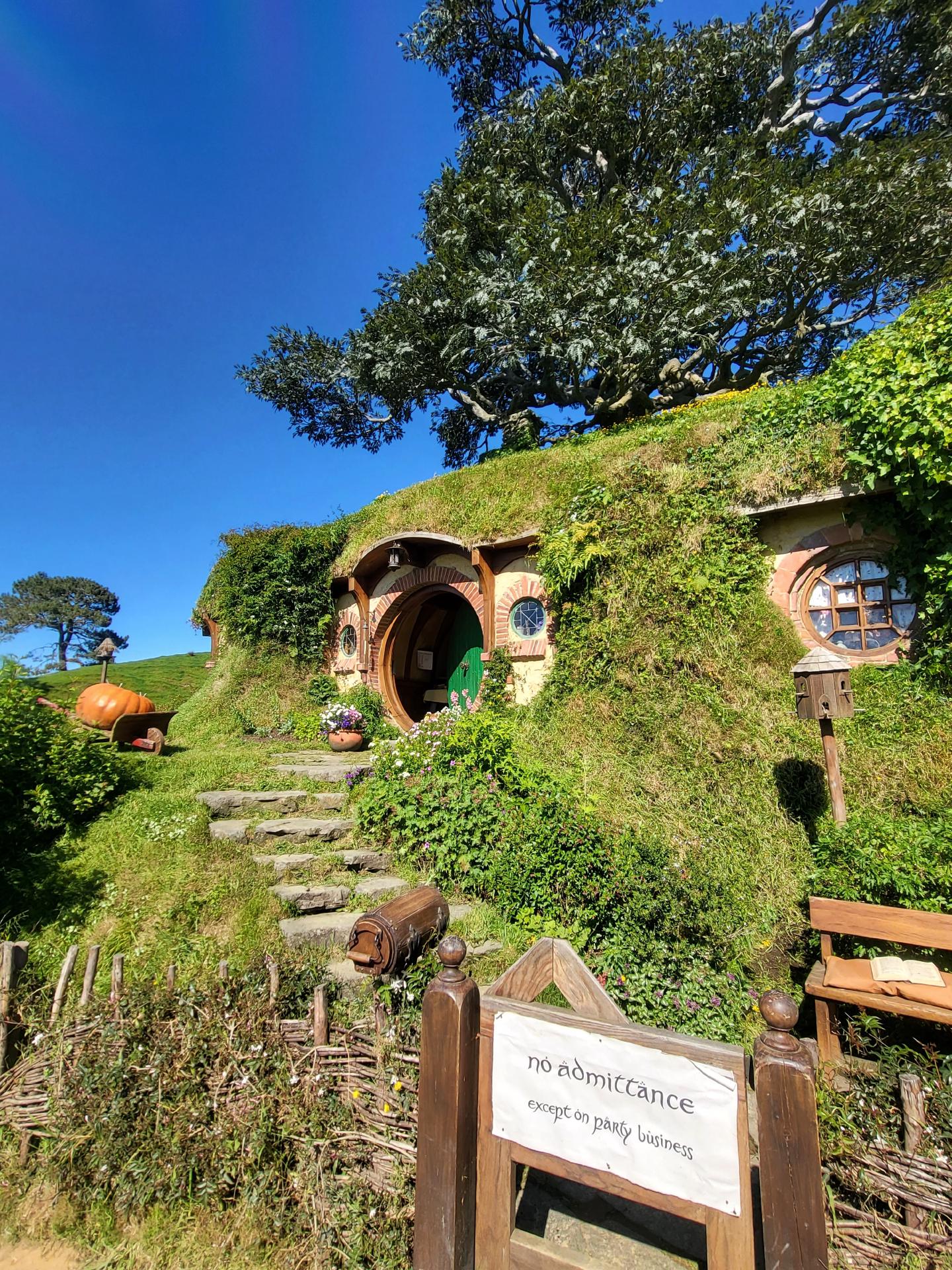 Alexander Farm - Matamata