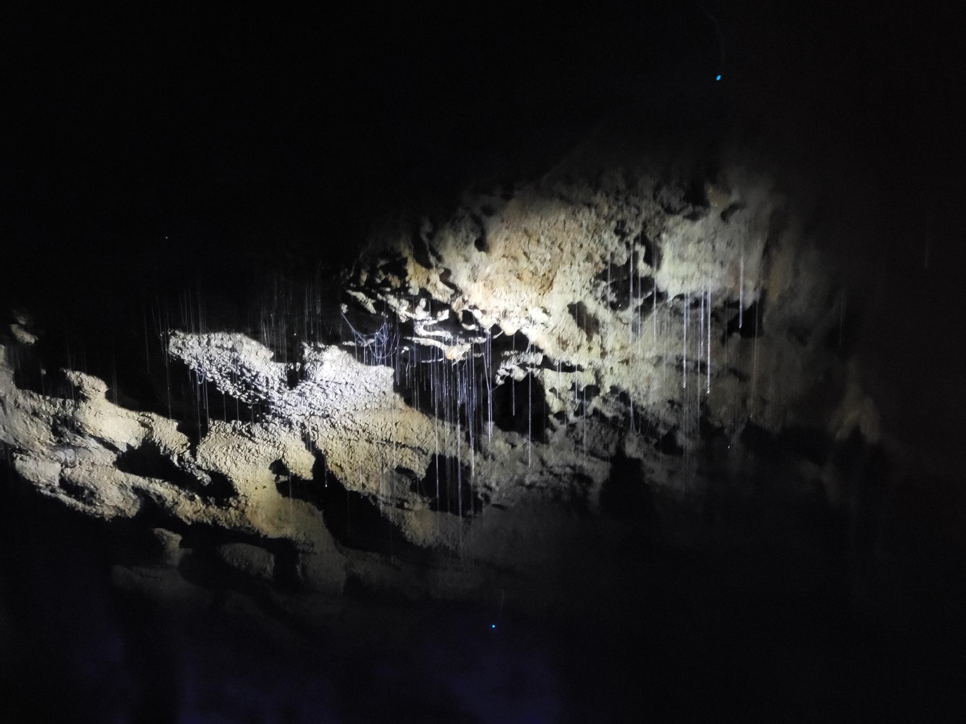 Glühwürmchenfäden