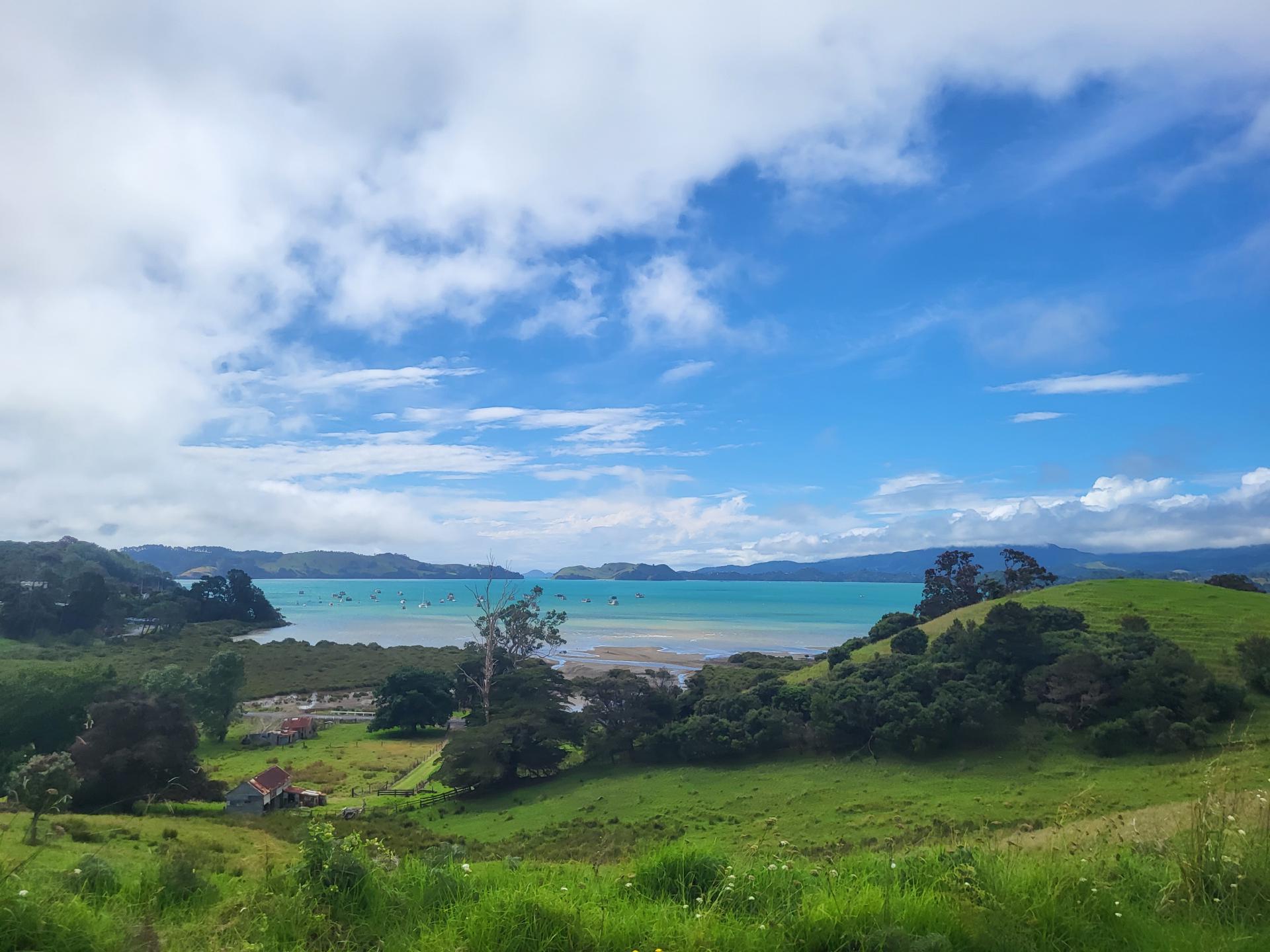 Coromandel - 309 Road