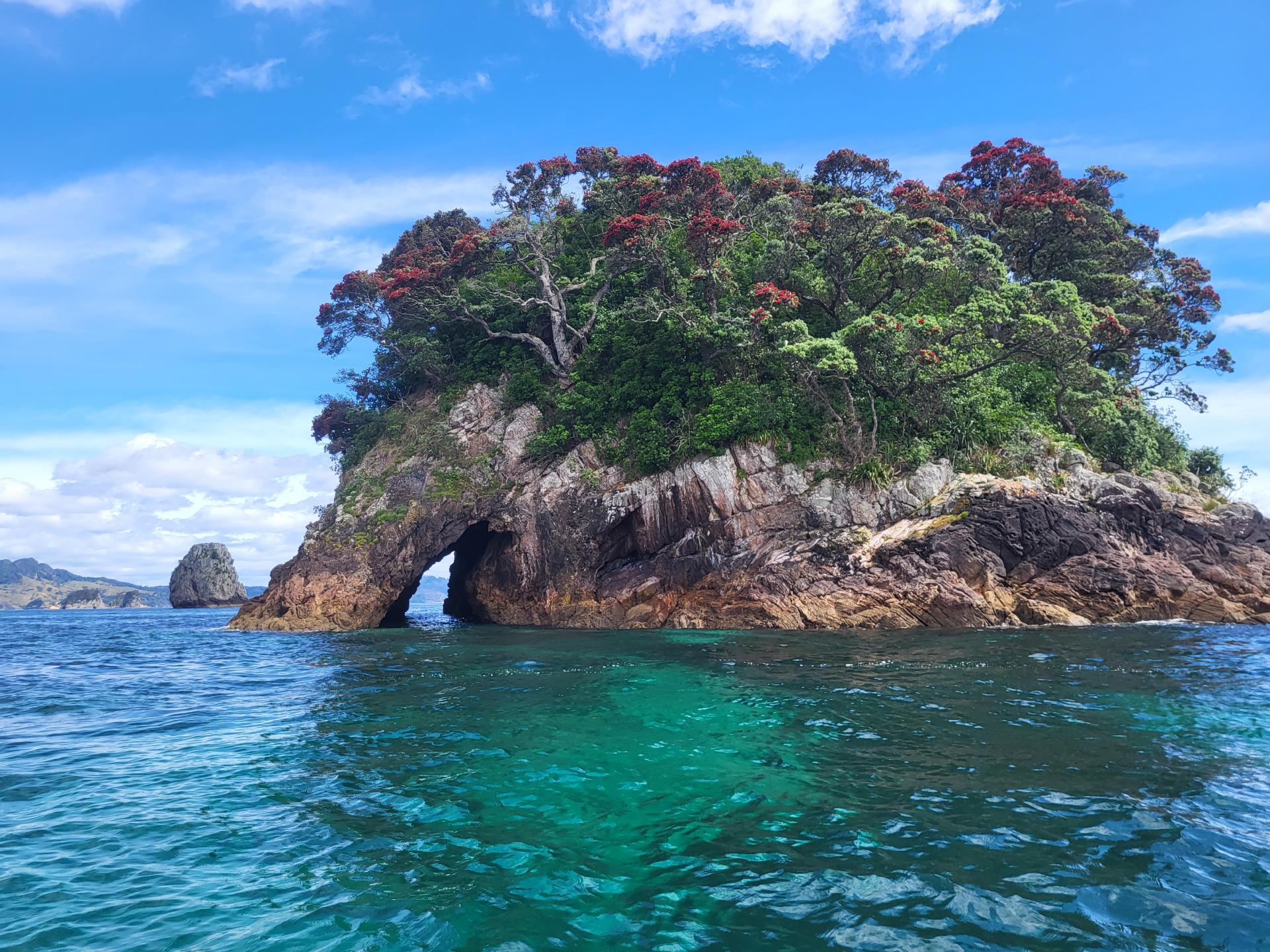 Coromandel - Mercury Bay
