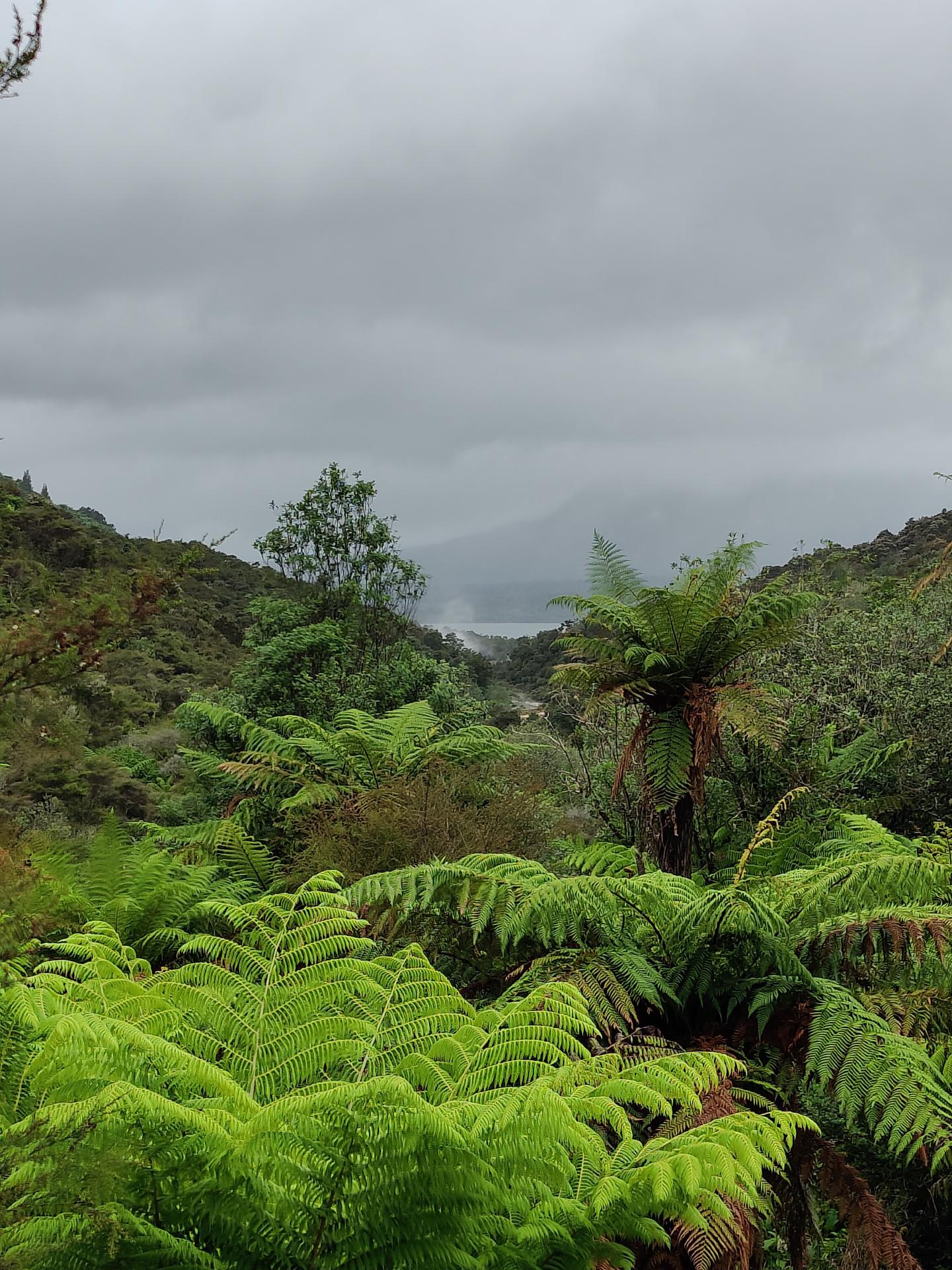 Tarawera