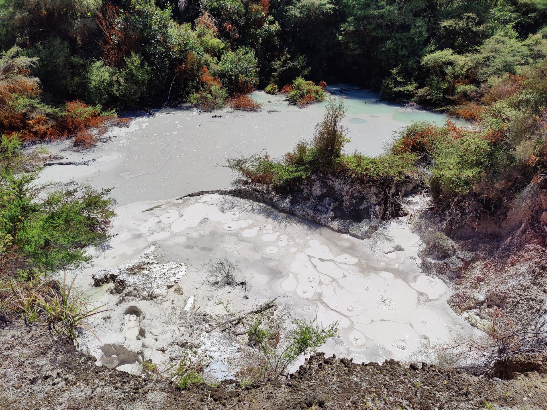 Mud Pool