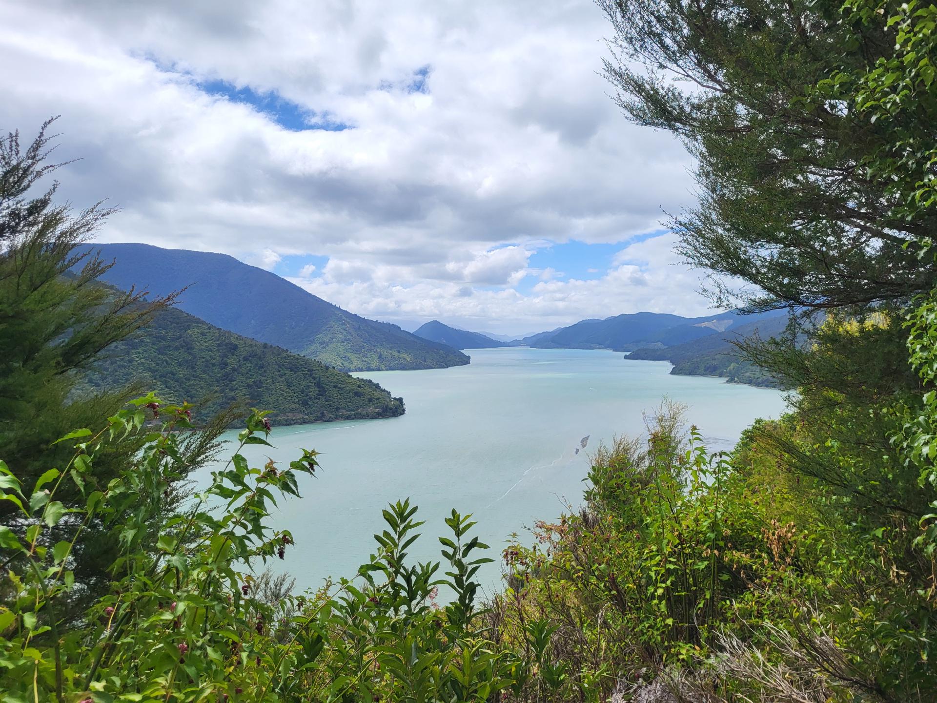 Marlborough Sounds